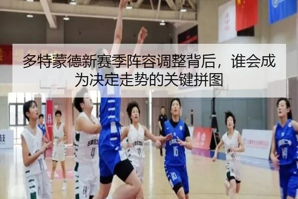 多特蒙德新赛季阵容调整背后，谁会成为决定走势的关键拼图 | DouYu
